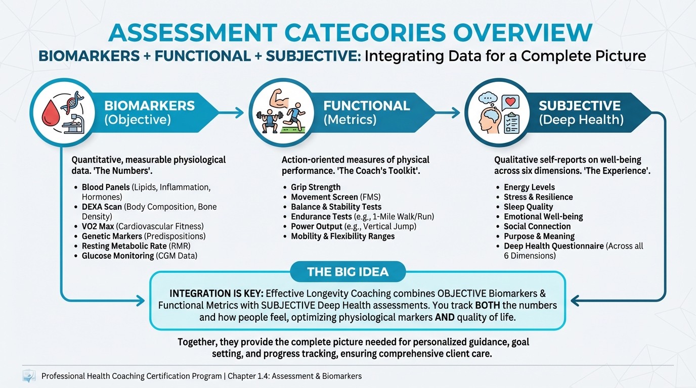 Assessment Categories Overview